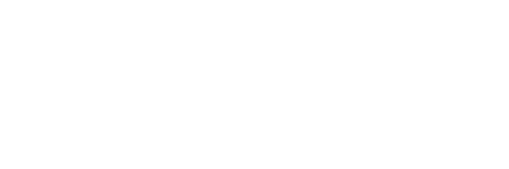 Tic Services